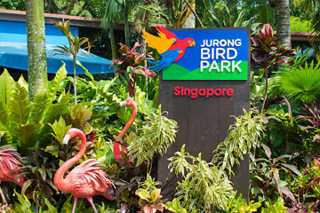 Singapore Sightseeing Tours